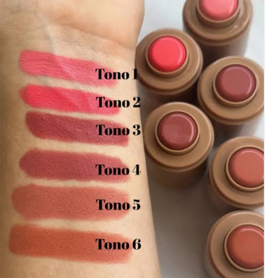 Rubor en stick Pink 21