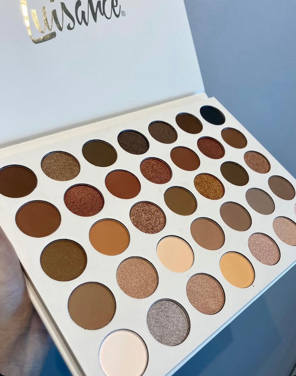 Paleta PRO Daily Luisance