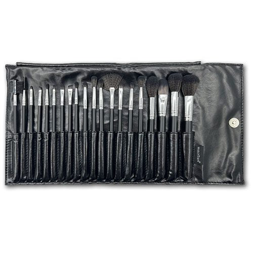 Kit de 20 pinceles Macrilan